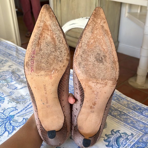 Python Manolos - Picture 6 of 11